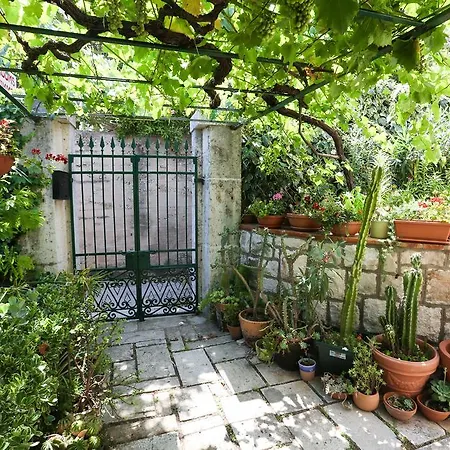 Rooms Cvetka Guest house Dubrovnik